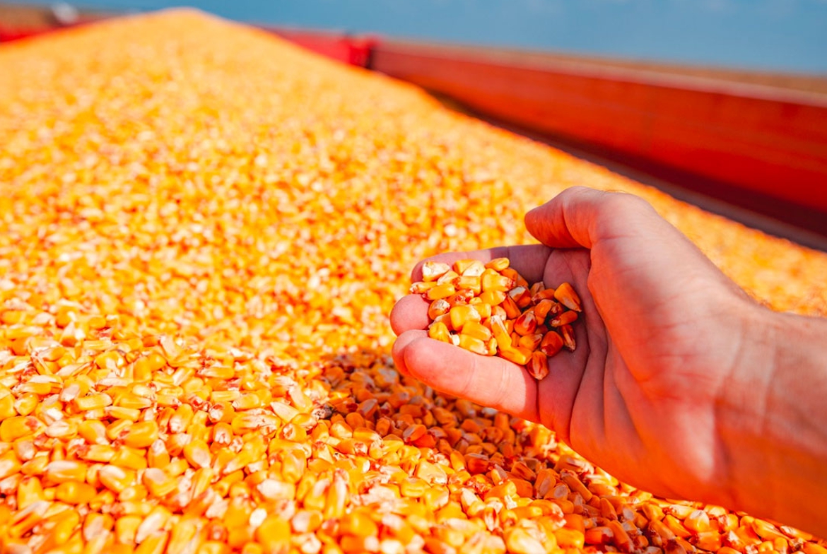 Rompen récord importaciones de granos y oleaginosas